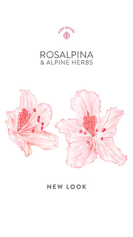 Body Lotion 250ml Rosalpina